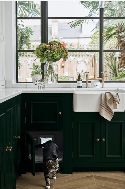 Design Nation - Mans Best Friend cat 1