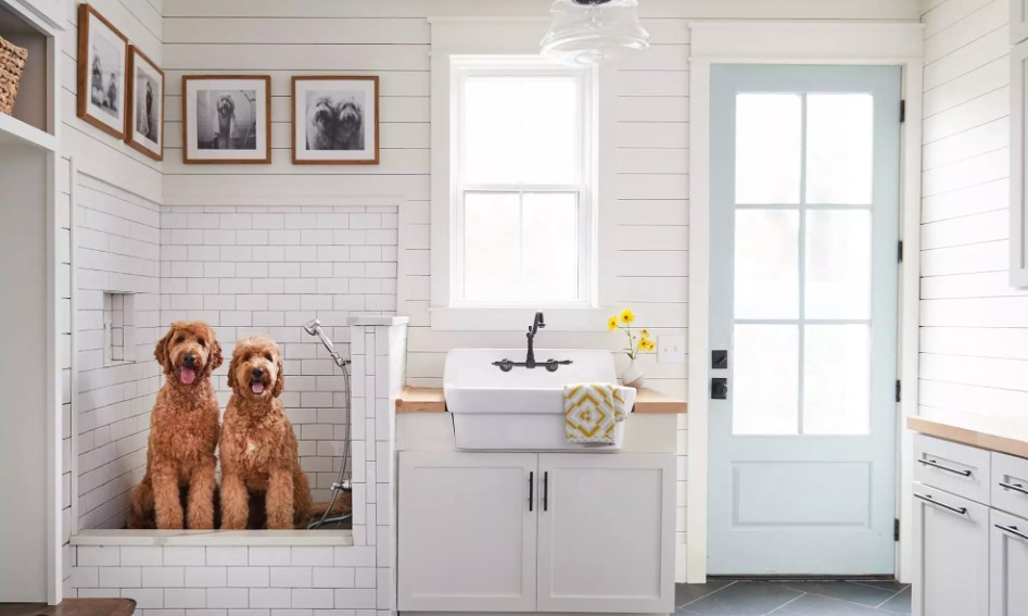Design Nation - Mans Best Friend dog shower 5